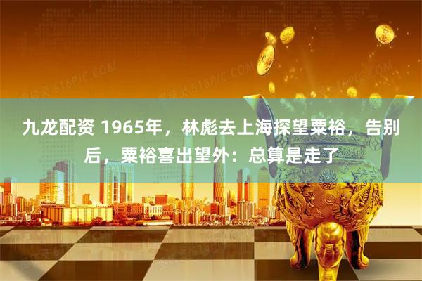 九龙配资 1965年，林彪去上海探望粟裕，告别后，粟裕喜出望外：总算是走了
