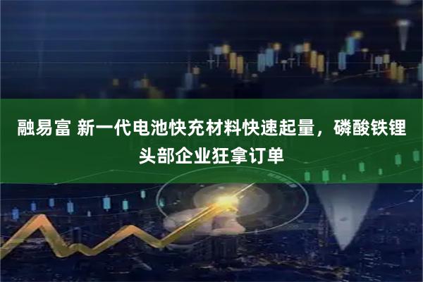 融易富 新一代电池快充材料快速起量，磷酸铁锂头部企业狂拿订单