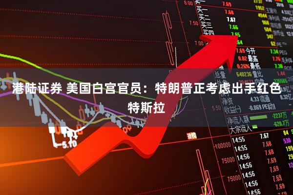 港陆证券 美国白宫官员：特朗普正考虑出手红色特斯拉