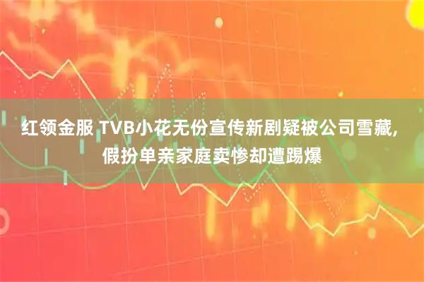 红领金服 TVB小花无份宣传新剧疑被公司雪藏, 假扮单亲家庭卖惨却遭踢爆