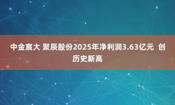 中金宸大 聚辰股份2025年净利润3.63亿元  创历史新高