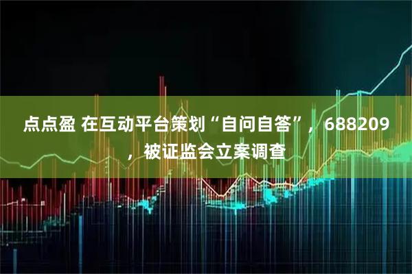 点点盈 在互动平台策划“自问自答”,688209,被证监会立案调查