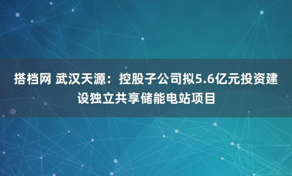 搭档网 武汉天源：控股子公司拟5.6亿元投资建设独立共享储能电站项目